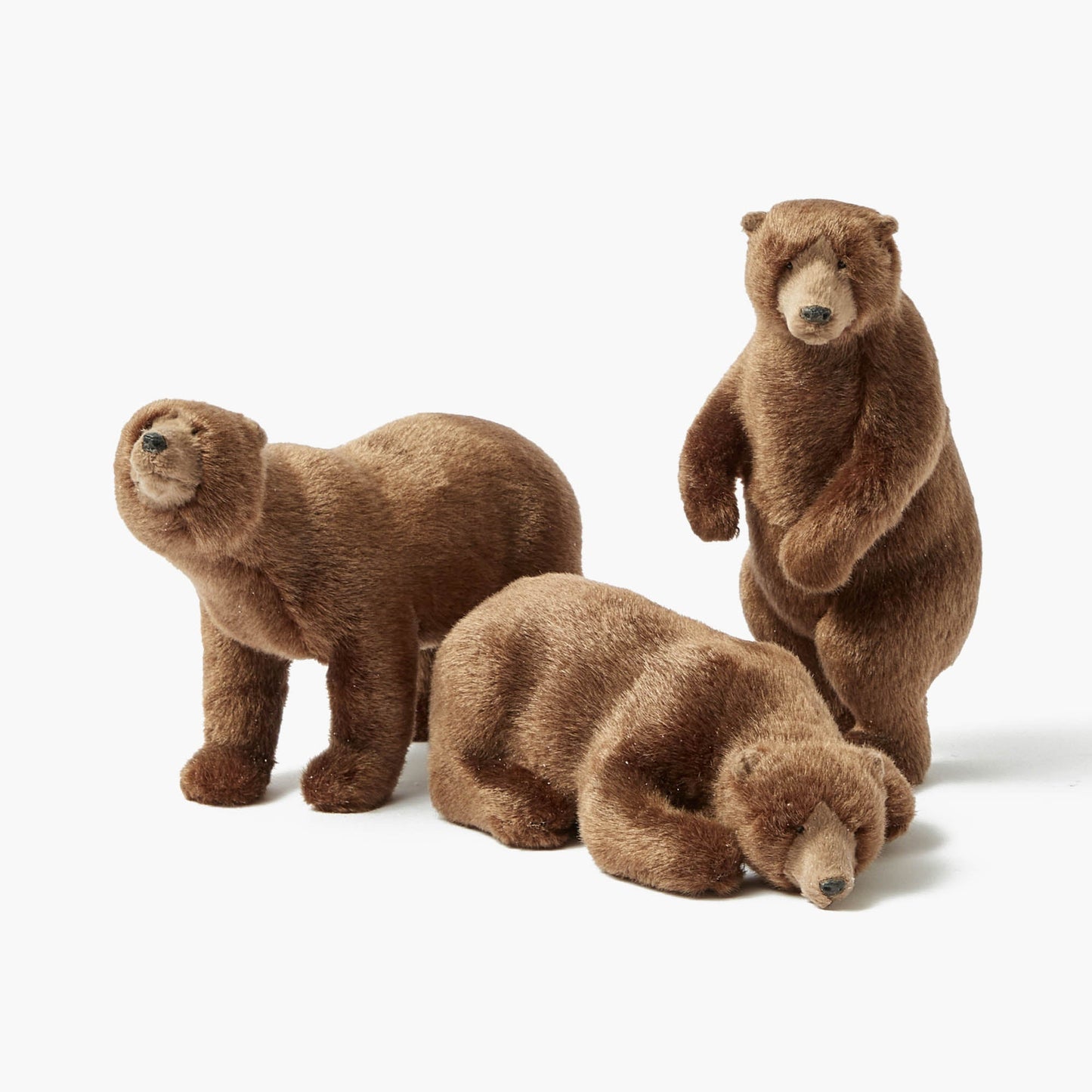 Grandi orsi bruni alpini (set di 3)