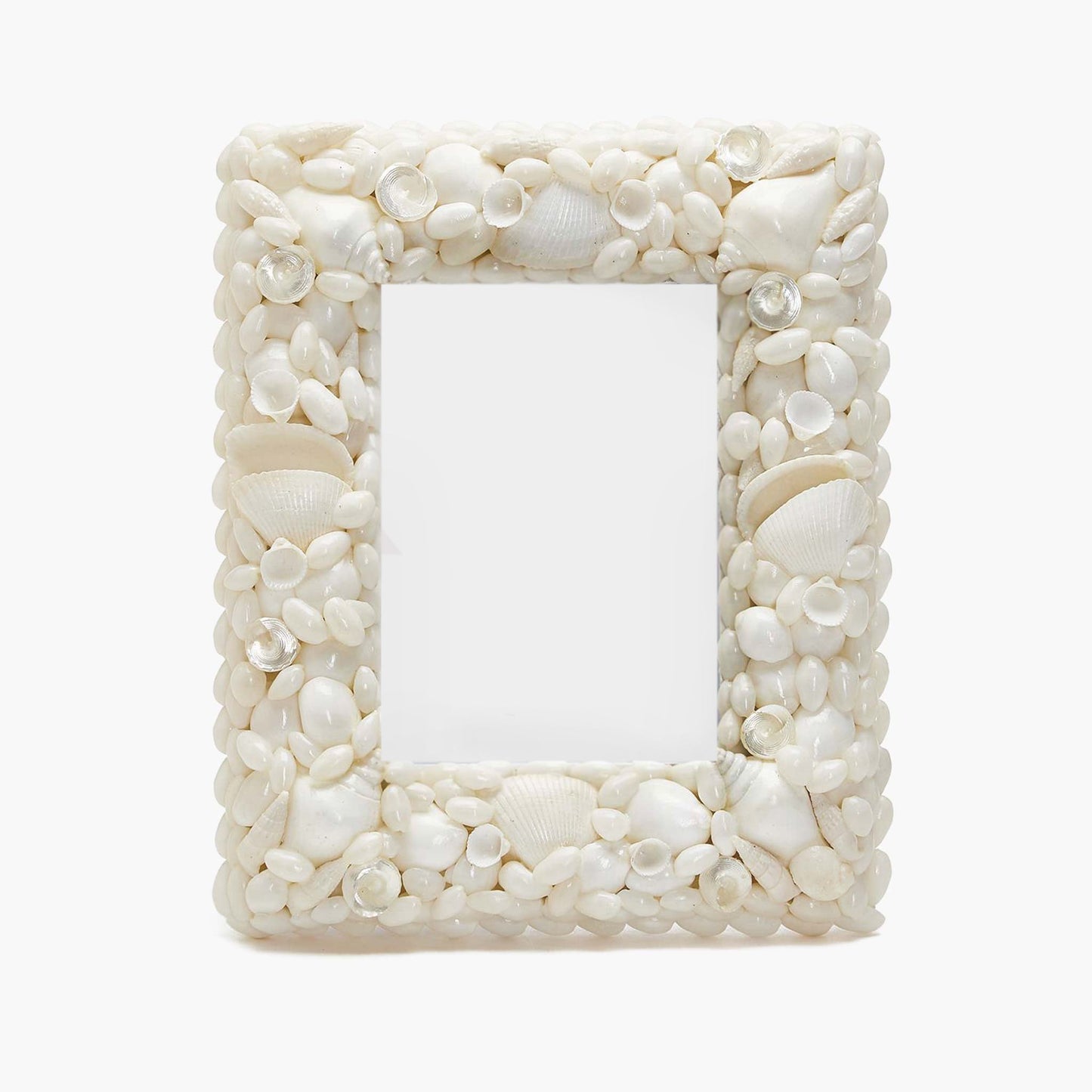 Cornice portafoto a forma di conchiglia - 5x7