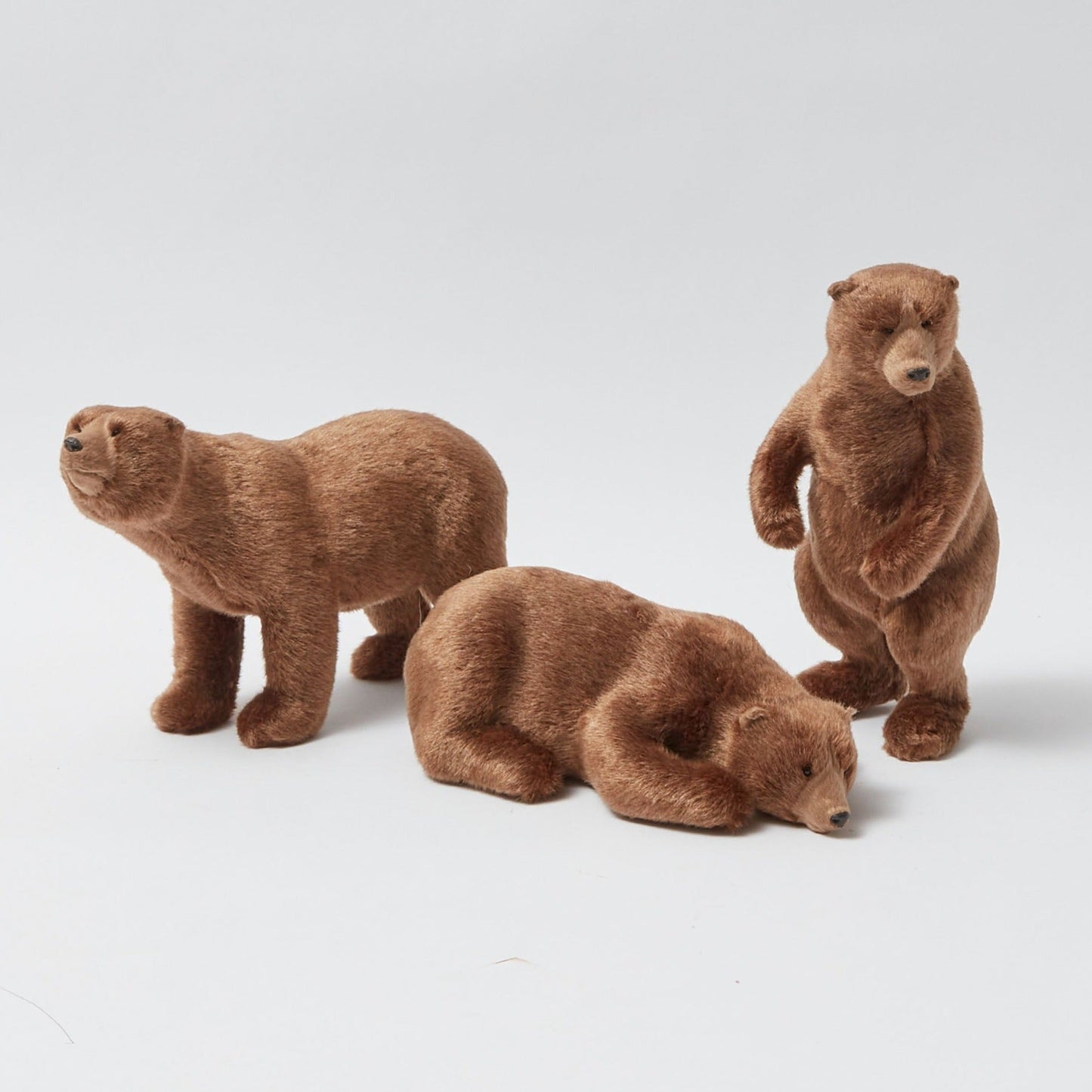 Grandi orsi bruni alpini (set di 3)