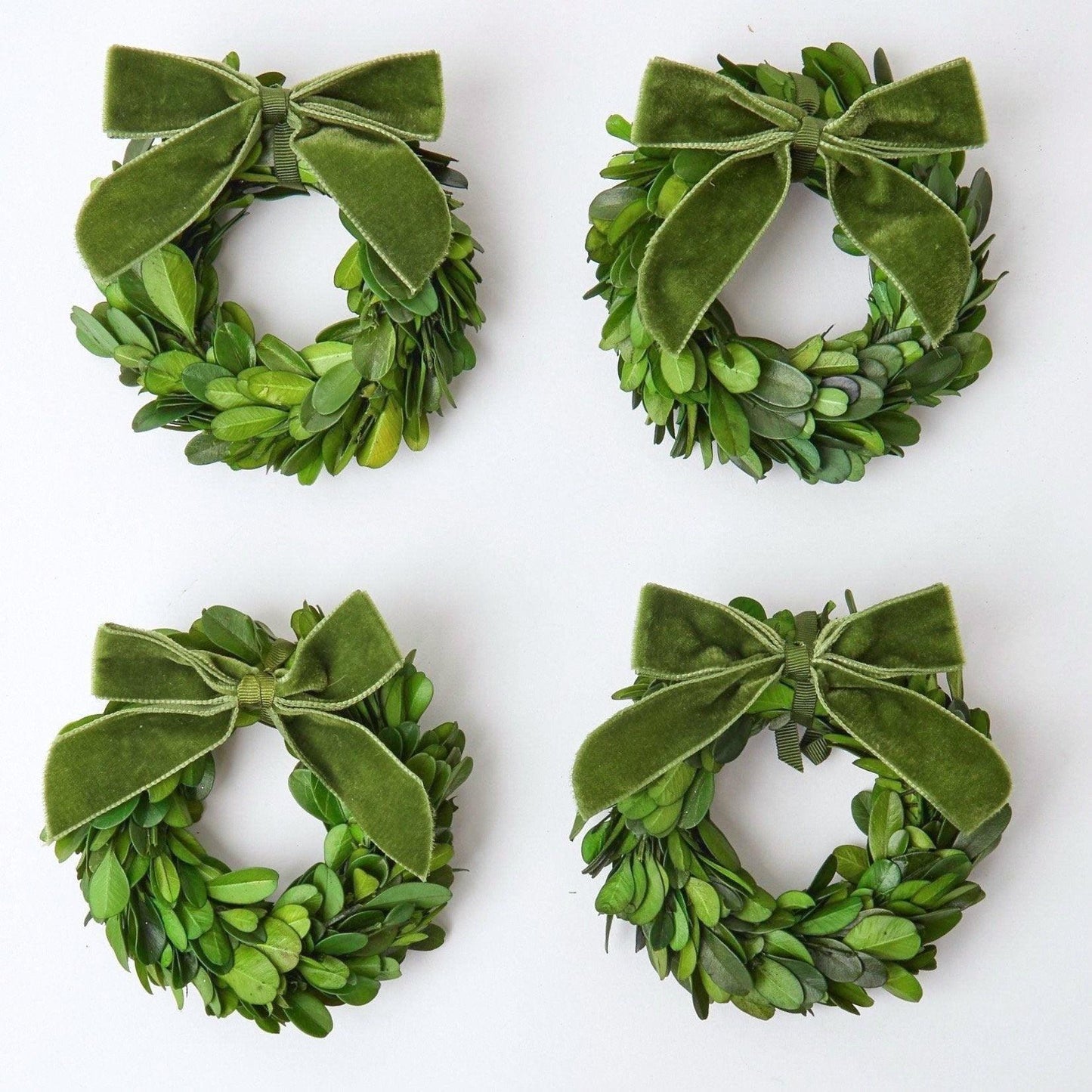 Ghirlande di bosso con fiocchi di velluto verde (set da 4)