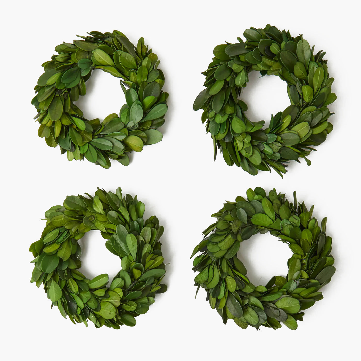 Ghirlande di bosso con fiocchi di velluto verde (set da 4)