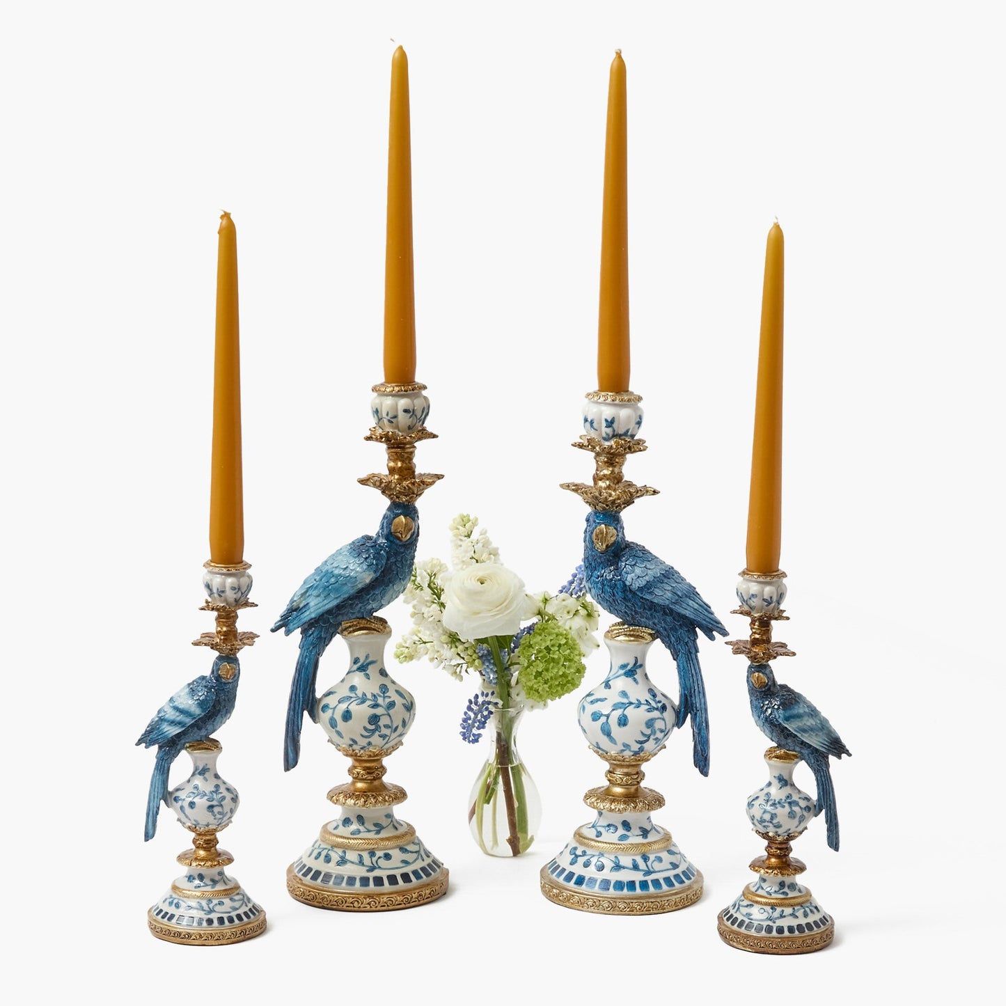 Set portacandele pappagallo blu