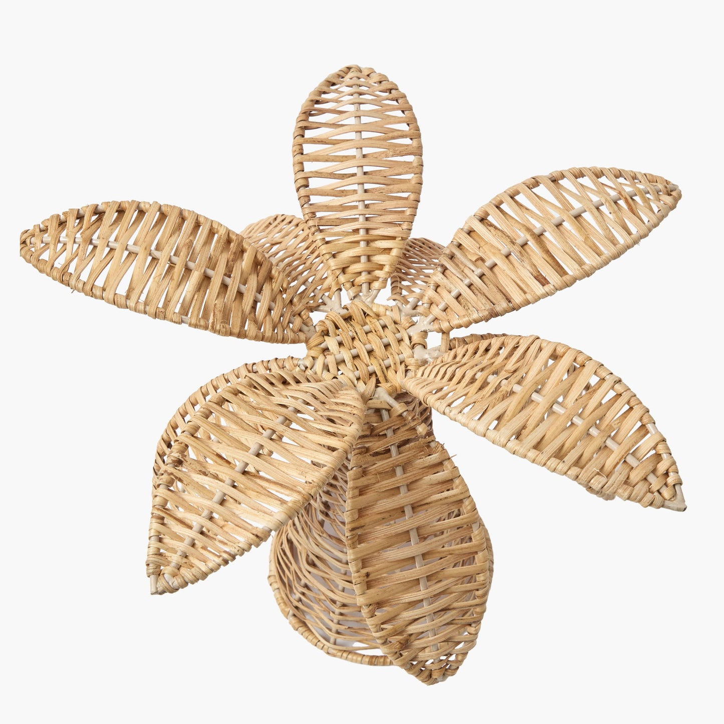 Grande palma di rattan (coppia)