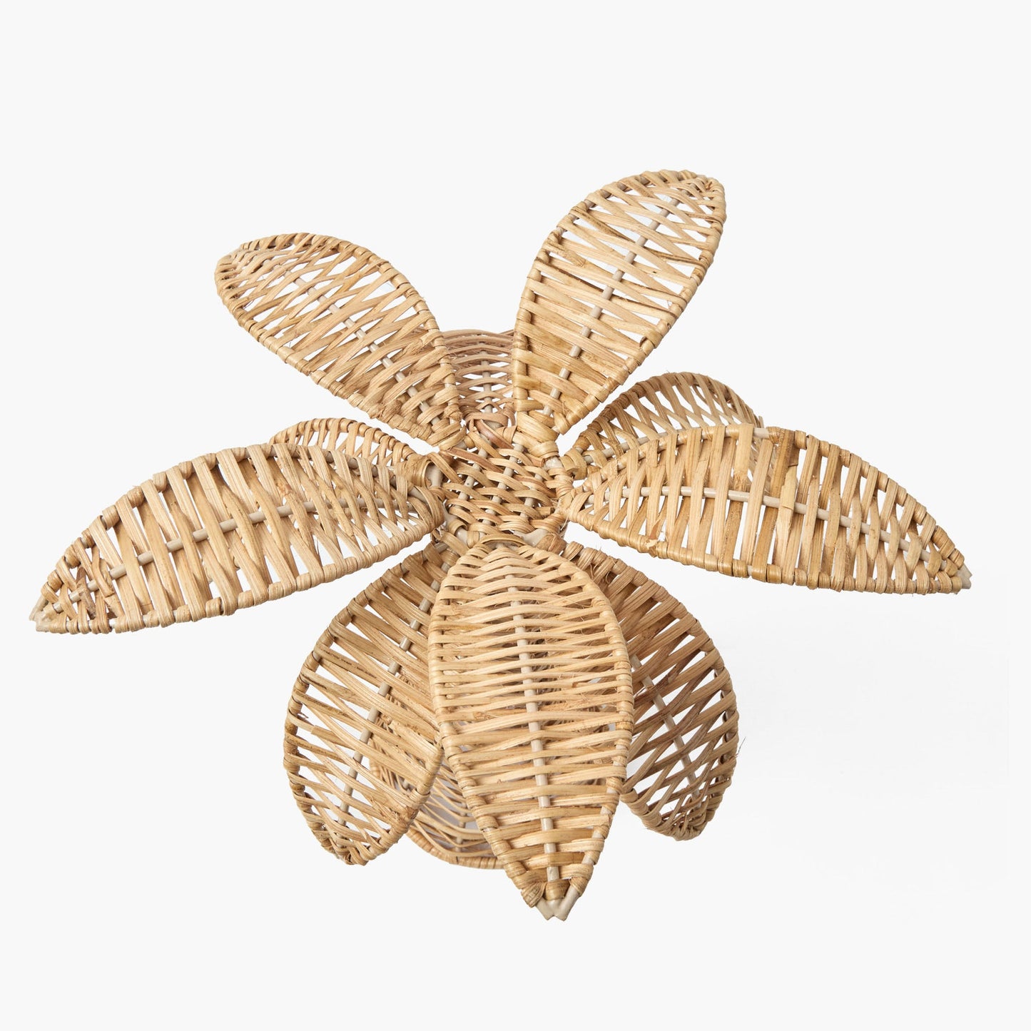 Piccola palma in rattan (coppia)