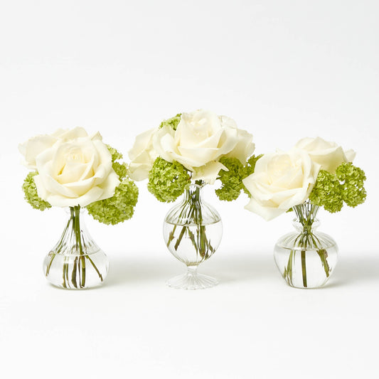 Vasi Nancy Bud (set di 3)
