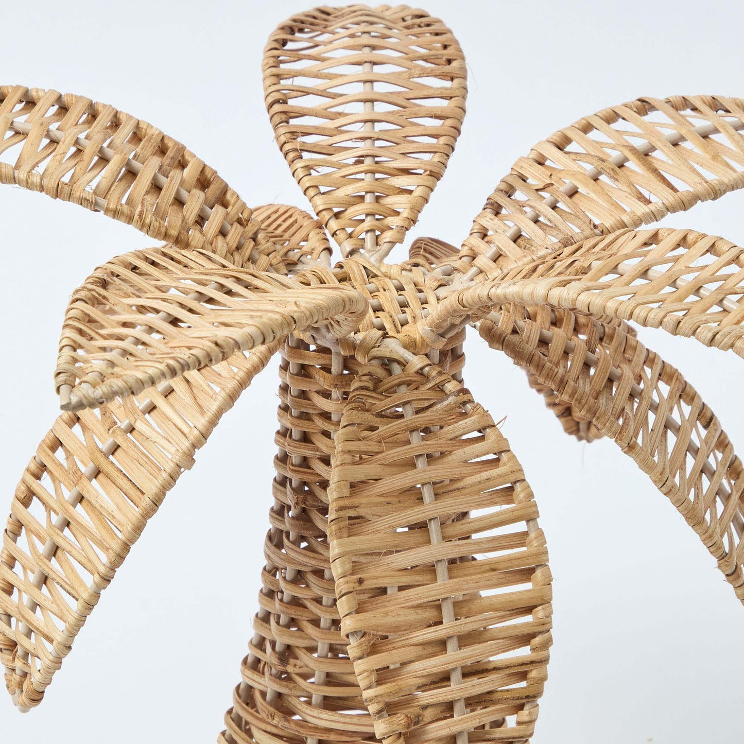 Grande palma di rattan (coppia)