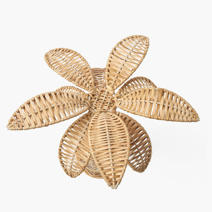 Piccola palma in rattan (coppia)