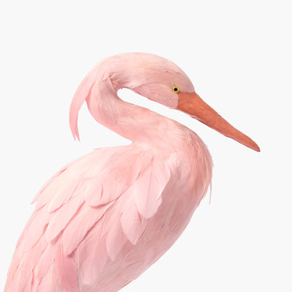 Cicogna Saskia (coppia) - 44 cm