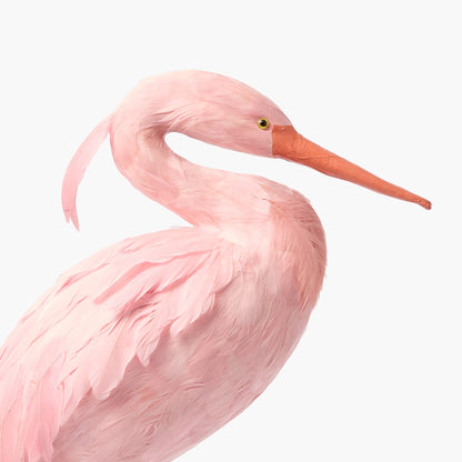 Cicogna Saskia rosa (coppia) - 60 cm